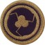 [Vanguard] Army Patch: 311th Support Command - embroidered on OCP