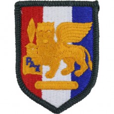[Vanguard] Army Patch: Africa and Southern European Task Force - color