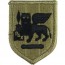 [Vanguard] Army Patch: Africa and Southern European Task Force - embroidered on OCP