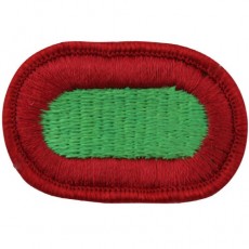 [Vanguard] Army Oval Patch: 10th Special Forces