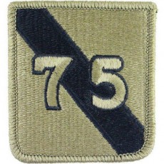 [Vanguard] Army Patch: 75th Training Command - embroidered on OCP