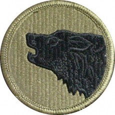 [Vanguard] Army Patch: 104th Training Division - embroidered on OCP