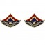 [Vanguard] Army Crest: 123rd Aviation Battalion
