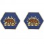 [Vanguard] Army Crest: California Army National Guard: ARNG CA