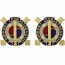 [Vanguard] Army Crest: 142nd Support Battalion - Support for Strength