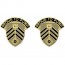 [Vanguard] Army Crest: 505th Quartermaster Battalion - Proud to Pump