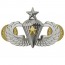 [Vanguard] Army Badge: Senior Combat Parachute Fifth Award - mirror finish