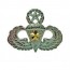 [Vanguard] Army Badge: Master Combat Parachute Fifth Award / 낙하산(공수)