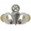 [Vanguard] Army Badge: Master Combat Parachute Second Award - mirror finish