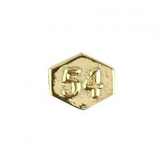 [Vanguard] Army Identification Badge Attachment: Director 54 - gold mirror finish
