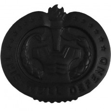 [Vanguard] Army Identification Badge: Drill Sergeant - black metal