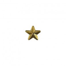 [Vanguard] Army Identification Badge: Gold Star for Recruiter - Hard Corps metal finish