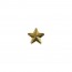 [Vanguard] Army Identification Badge: Gold Star for Recruiter - Hard Corps metal finish