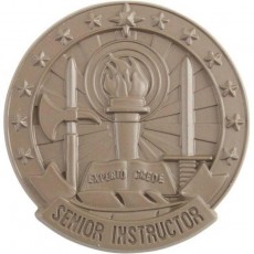 [Vanguard] Army Identification Badge Subdued Metal: Senior Instructor - Brown