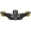 [Vanguard] Army Badge: Master Aviator - regulation size, silver oxidized