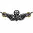 [Vanguard] Army Badge: Master Flight Surgeon - regulation size, silver oxidized