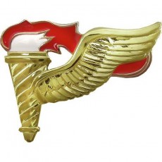 [Vanguard] Army Badge: Pathfinder - mirror finish