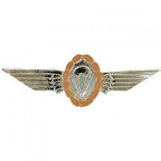 [Vanguard] Badge: German Jump Wings - Bronze Regulation size