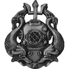 [Vanguard] Army Badge: Master Diver - oxidized