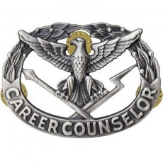 [Vanguard] Army Badge: Career Counselor - regulation size, silver oxidized