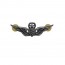 [Vanguard] Army Dress Badge: Master Flight Surgeon - miniature, silver oxidized