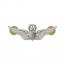 [Vanguard] Army Dress Badge: Master Aircraft Crewman: Aircrew - miniature, mirror finish / 항공기승무원