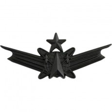 [Vanguard] Army Badge: Senior Space Command - regulation size, black metal