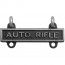 [Vanguard] Army Qualification Bar: Auto Rifle - silver oxidized finish