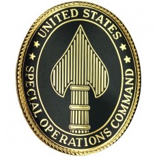 [Vanguard] Army Badge Regulation: Special Operation Command / 특수작전사령부