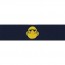 [Vanguard] Navy Embroidered Badge: Marine Corps Combatant Diver - embroidered on coverall