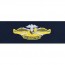 [Vanguard] Navy Embroidered Badge: Fleet Marine Force Officer - coverall