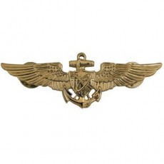 [Vanguard] Navy Badge: Astronaut Aviator - regulation size