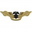 [Vanguard] Navy Badge: Professional Aviation Maintenance Officer