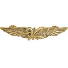 [Vanguard] Navy Badge: Aviation Supply Officer - regulation size