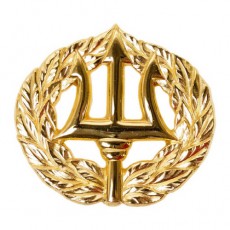 [Vanguard] Navy Badge: Command Ashore - regulation size