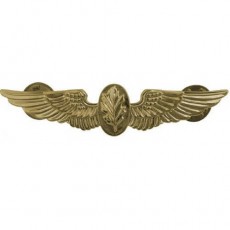 [Vanguard] Navy Badge: Flight Nurse - regulation size