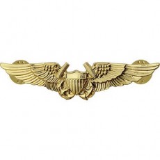 [Vanguard] Navy Badge: Navy Flight Officer - regulation size