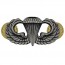 [Vanguard] Navy Badge: Basic Parachutist - regulation size, oxidized