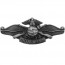 [Vanguard] Navy Badge: Fleet Marine Force - regulation size