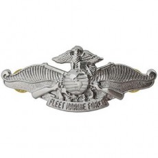 [Vanguard] Navy Badge: Fleet Marine Force Enlisted mirror finish - regulation size