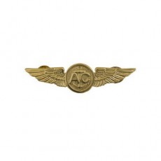 [Vanguard] Badge: Air Crew - miniature, gold finish