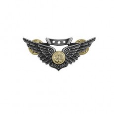 [Vanguard] Badge: Combat Aircrew - miniature, oxidized