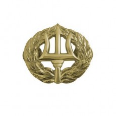 [Vanguard] Navy Badge: Command Ashore - miniature, mirror finish