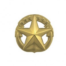 [Vanguard] Navy Badge: Command at Sea - miniature, gold matte finish