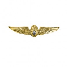 [Vanguard] Navy Badge: Flight Surgeon - miniature, mirror finish