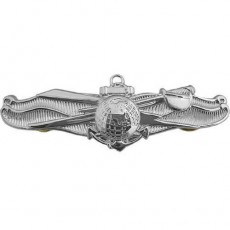 [Vanguard] Navy Badge: Enlisted Information Dominance Warfare - miniature, mirror finish