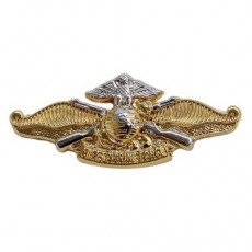 [Vanguard] Navy Badge: Fleet Marine Force Officer - miniature