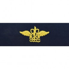 [Vanguard] Navy Collar Device: WO Aviation Operation Technician - coverall