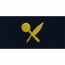 [Vanguard] Navy Embroidered Collar Device: Intelligence Technician - coverall