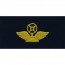[Vanguard] Navy Embroidered Collar Device: Air Traffic Control Technician - coverall